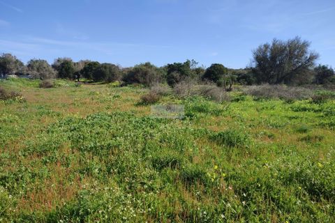 Terra a Sagres, Faro, Sagres - € 99.000 | Ref: T0379 - foto 7