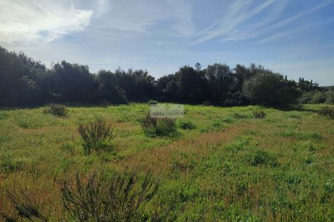 Terra a Sagres, Faro, Sagres - € 99.000 | Ref: T0379 - foto 8