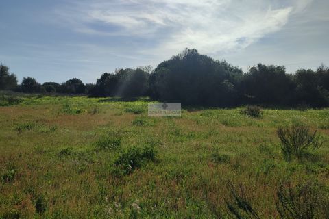 Terra a Sagres, Faro, Sagres - € 99.000 | Ref: T0379 - foto 10