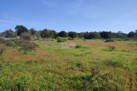 Terra a Sagres, Faro, Sagres - € 99.000 | Ref: T0379 - foto 11