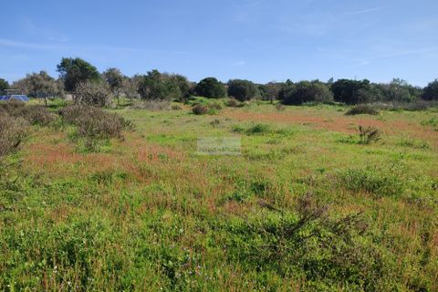 Terra a Sagres, Faro, Sagres - € 99.000 | Ref: T0379 - foto 12