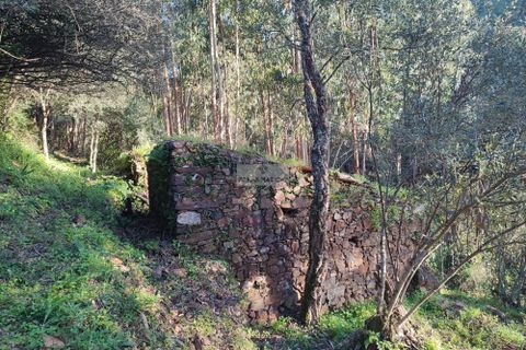 Ruinere i Monchique, Faro, Monchique - € 190.000 | Ref: R0059 - foto 2