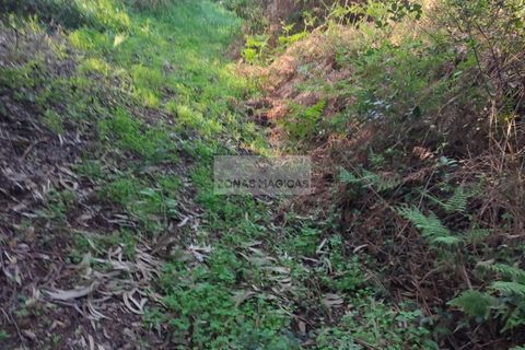 Ruinere i Monchique, Faro, Monchique - € 190.000 | Ref: R0059 - foto 4