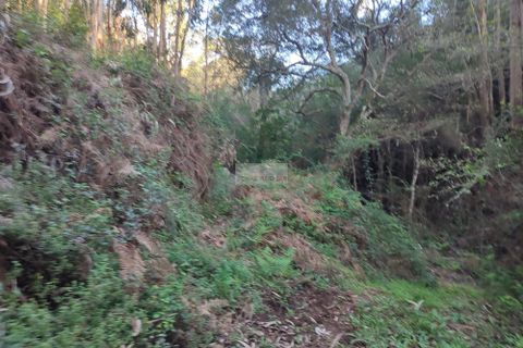 Ruinere i Monchique, Faro, Monchique - € 190.000 | Ref: R0059 - foto 5