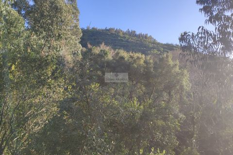 Ruinere i Monchique, Faro, Monchique - € 190.000 | Ref: R0059 - foto 6