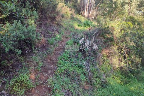Ruinere i Monchique, Faro, Monchique - € 190.000 | Ref: R0059 - foto 7
