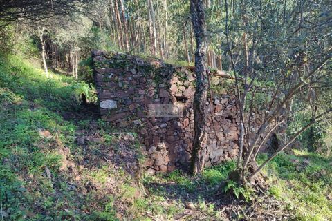 Ruinere i Monchique, Faro, Monchique - € 190.000 | Ref: R0059 - foto 8