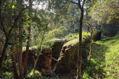 Ruinere i Monchique, Faro, Monchique - € 190.000 | Ref: R0059 - foto 9
