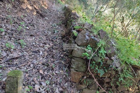 Ruinere i Monchique, Faro, Monchique - € 190.000 | Ref: R0059 - foto 11