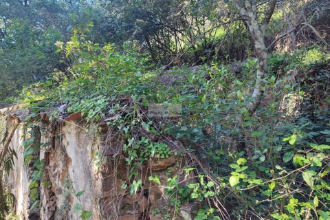 Ruinere i Monchique, Faro, Monchique - € 190.000 | Ref: R0059 - foto 13