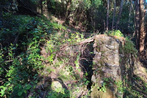 Ruinere i Monchique, Faro, Monchique - € 190.000 | Ref: R0059 - foto 14