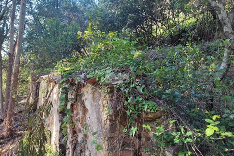 Ruinere i Monchique, Faro, Monchique - € 190.000 | Ref: R0059 - foto 15