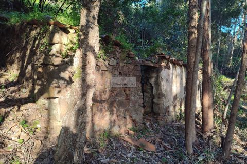 Ruinere i Monchique, Faro, Monchique - € 190.000 | Ref: R0059 - foto 16