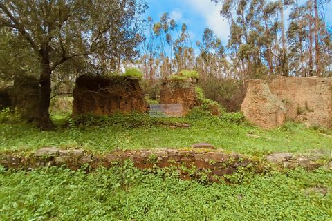 Helårsgrund i Monchique, Faro, Monchique - € 540.000 | Ref: T0388 - foto 2