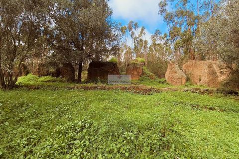 Helårsgrund i Monchique, Faro, Monchique - € 540.000 | Ref: T0388 - foto 3