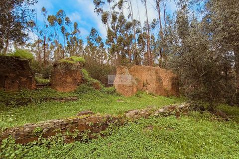 Helårsgrund i Monchique, Faro, Monchique - € 540.000 | Ref: T0388 - foto 4