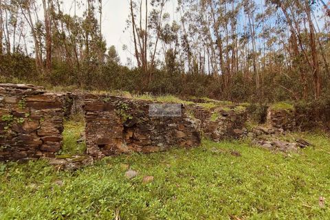 Helårsgrund i Monchique, Faro, Monchique - € 540.000 | Ref: T0388 - foto 7