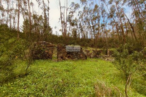 Helårsgrund i Monchique, Faro, Monchique - € 540.000 | Ref: T0388 - foto 8