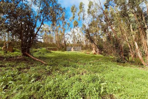 Helårsgrund i Monchique, Faro, Monchique - € 540.000 | Ref: T0388 - foto 9