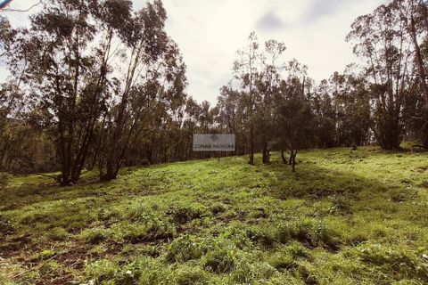 Helårsgrund i Monchique, Faro, Monchique - € 540.000 | Ref: T0388 - foto 10