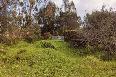 Helårsgrund i Monchique, Faro, Monchique - € 540.000 | Ref: T0388 - foto 12