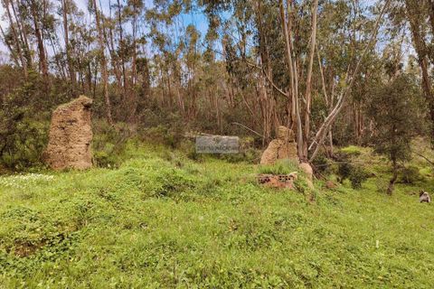 Helårsgrund i Monchique, Faro, Monchique - € 540.000 | Ref: T0388 - foto 17