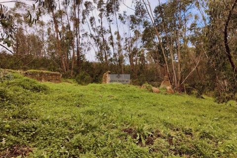 Helårsgrund i Monchique, Faro, Monchique - € 540.000 | Ref: T0388 - foto 18