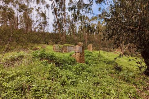 Helårsgrund i Monchique, Faro, Monchique - € 540.000 | Ref: T0388 - foto 19