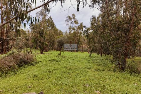 Helårsgrund i Monchique, Faro, Monchique - € 540.000 | Ref: T0388 - foto 20