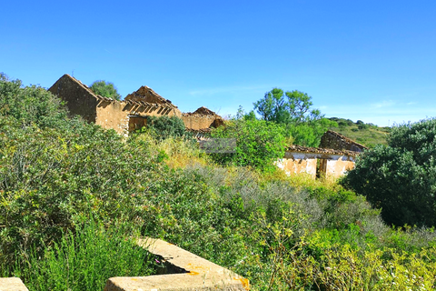 Farm hus i Lagos, Faro, Lagos - € 950.000 | Ref: R0061 - foto 2