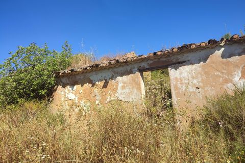 Farm hus i Lagos, Faro, Lagos - € 950.000 | Ref: R0061 - foto 4