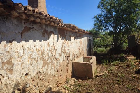 Farm hus i Lagos, Faro, Lagos - € 500.000 | Ref: R0062 - foto 5