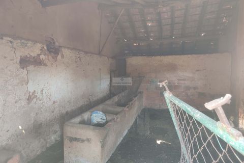 Farm hus i Lagos, Faro, Lagos - € 500.000 | Ref: R0062 - foto 14