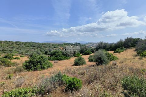 Helårsgrund i Lagos, Faro, Lagos - € 240.000 | Ref: T0428 - foto 11