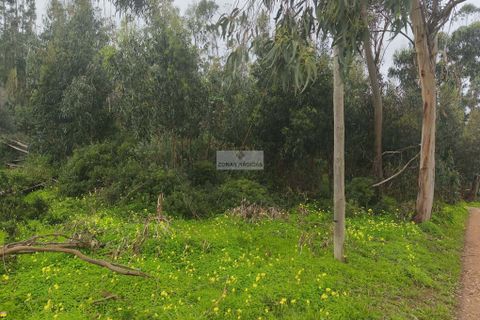 Terra a Sagres, Faro, Sagres - € 50.000 | Ref: T0437 - foto 3