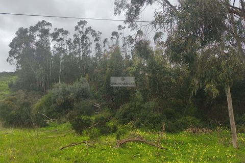 Terra a Sagres, Faro, Sagres - € 50.000 | Ref: T0437 - foto 4