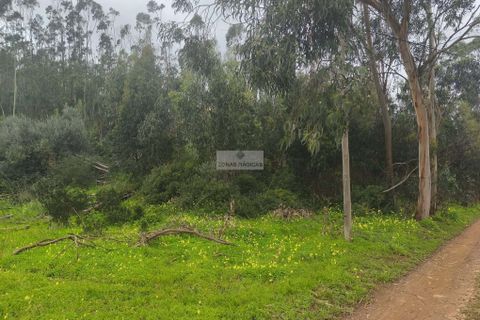 Terra a Sagres, Faro, Sagres - € 50.000 | Ref: T0437 - foto 6