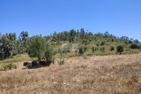 Ruinere i Monchique, Faro, Monchique - € 250.000 | Ref: R0065 - foto 4