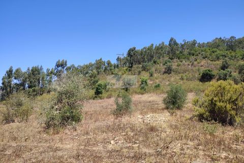 Ruinere i Monchique, Faro, Monchique - € 250.000 | Ref: R0065 - foto 8