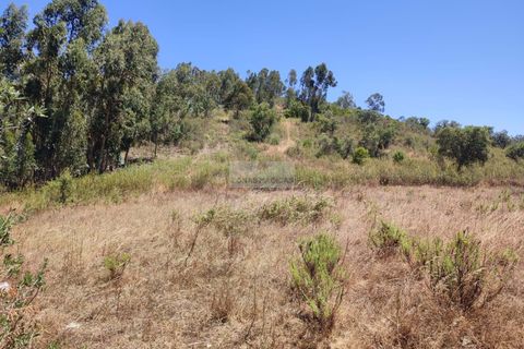 Ruinere i Monchique, Faro, Monchique - € 250.000 | Ref: R0065 - foto 15