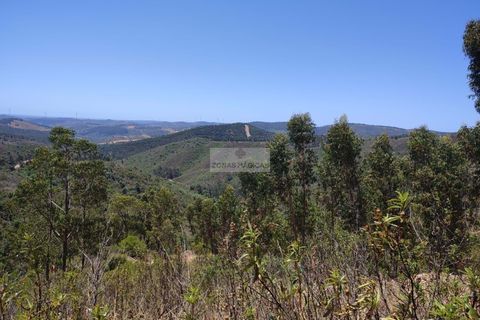 Helårsgrund i Monchique, Faro, Monchique - € 350.000 | Ref: T0438 - foto 1