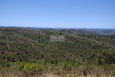 Helårsgrund i Monchique, Faro, Monchique - € 350.000 | Ref: T0438 - foto 2