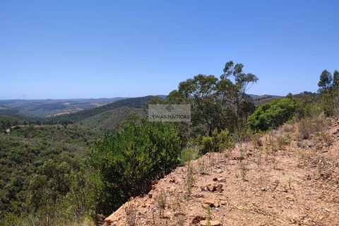 Helårsgrund i Monchique, Faro, Monchique - € 350.000 | Ref: T0438 - foto 4