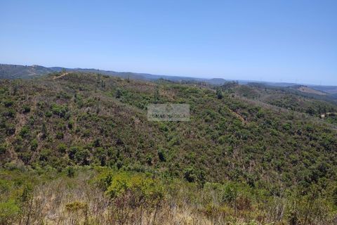 Helårsgrund i Monchique, Faro, Monchique - € 350.000 | Ref: T0438 - foto 5
