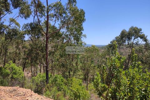 Helårsgrund i Monchique, Faro, Monchique - € 350.000 | Ref: T0438 - foto 6