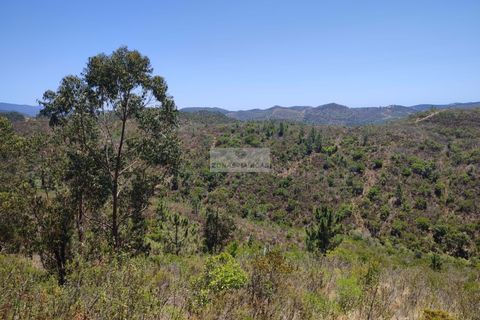 Helårsgrund i Monchique, Faro, Monchique - € 350.000 | Ref: T0438 - foto 7