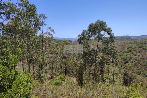Helårsgrund i Monchique, Faro, Monchique - € 350.000 | Ref: T0438 - foto 9