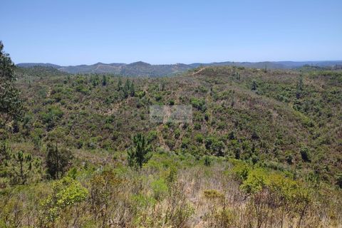 Helårsgrund i Monchique, Faro, Monchique - € 350.000 | Ref: T0438 - foto 10