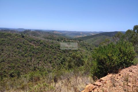 Helårsgrund i Monchique, Faro, Monchique - € 350.000 | Ref: T0438 - foto 11