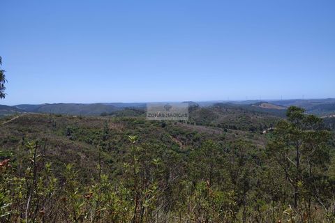 Helårsgrund i Monchique, Faro, Monchique - € 350.000 | Ref: T0438 - foto 12